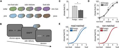 On the state-dependent nature of odor perception